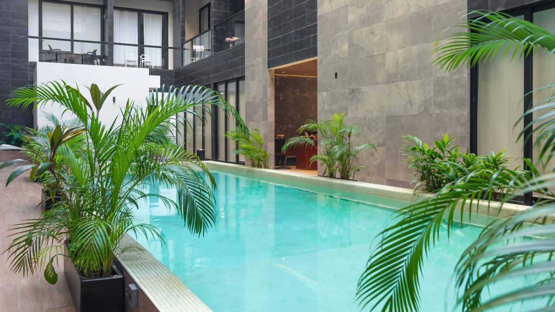 Musa Del Carmen By Boutique Apartments Mx بلايا ديل كارمن المكسيك