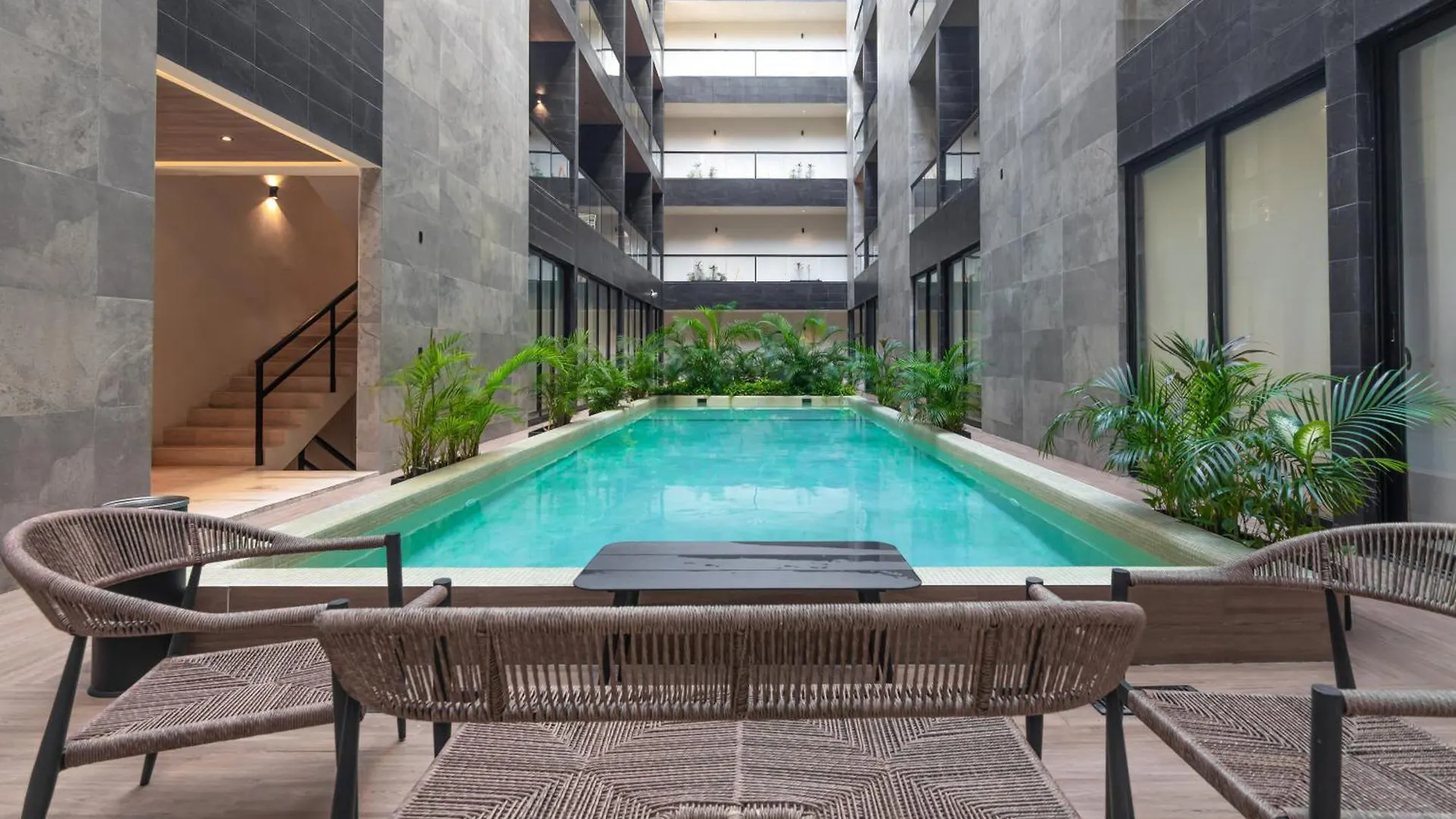 Musa Del Carmen By Boutique Apartments Mx بلايا ديل كارمن المكسيك